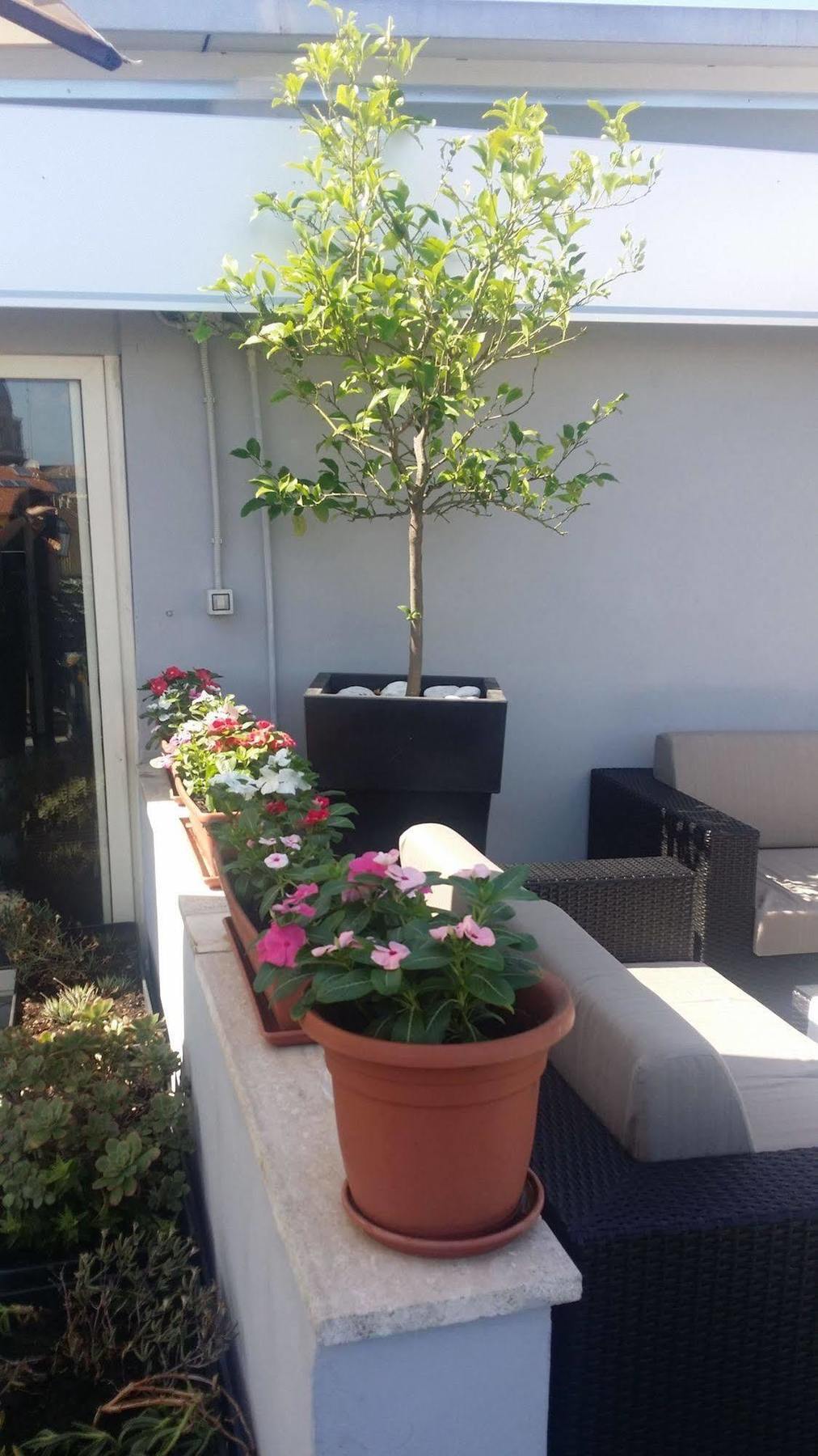 Hotel Gravina San Pietro Rome Exterior photo